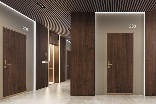 Входные двери SAFE